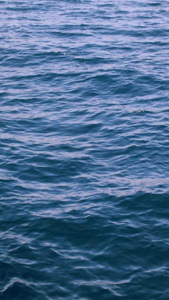 금값 사상 최고치 경신 — 안전자산 비중 얼마나?