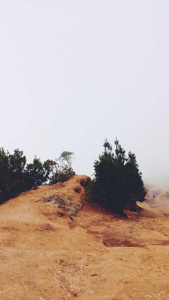 서울 청약 1순위 가점 계산법과 당첨 전략